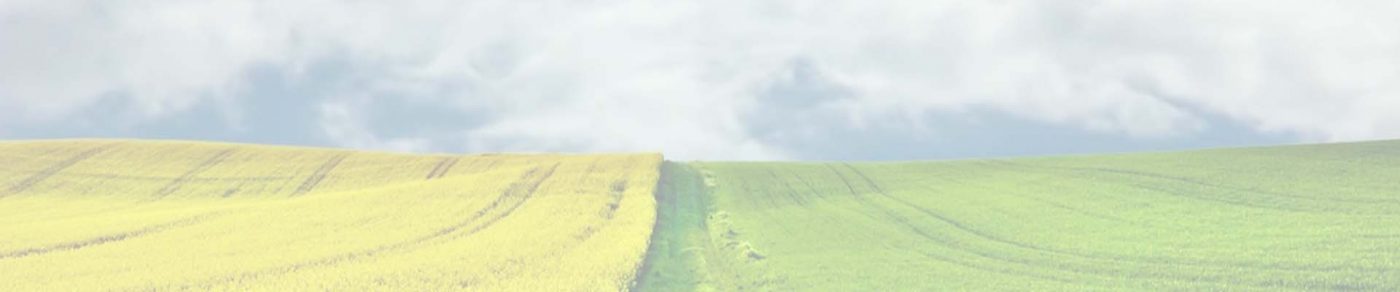 agrokompleks